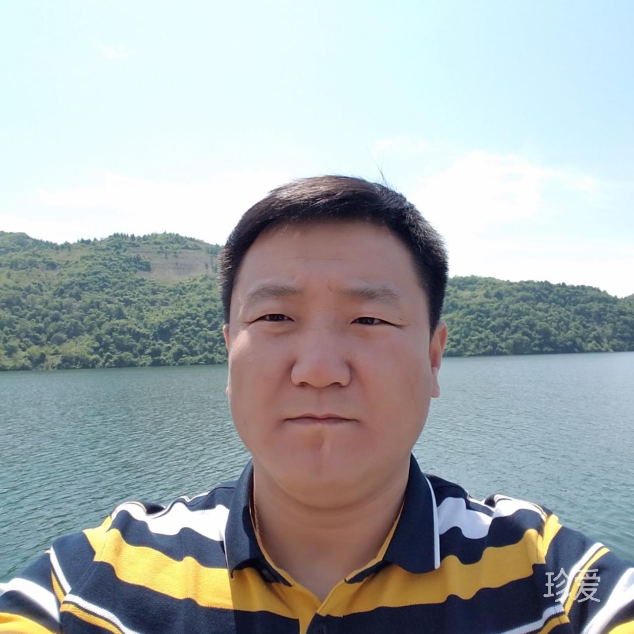 穿過樹叢的陽光