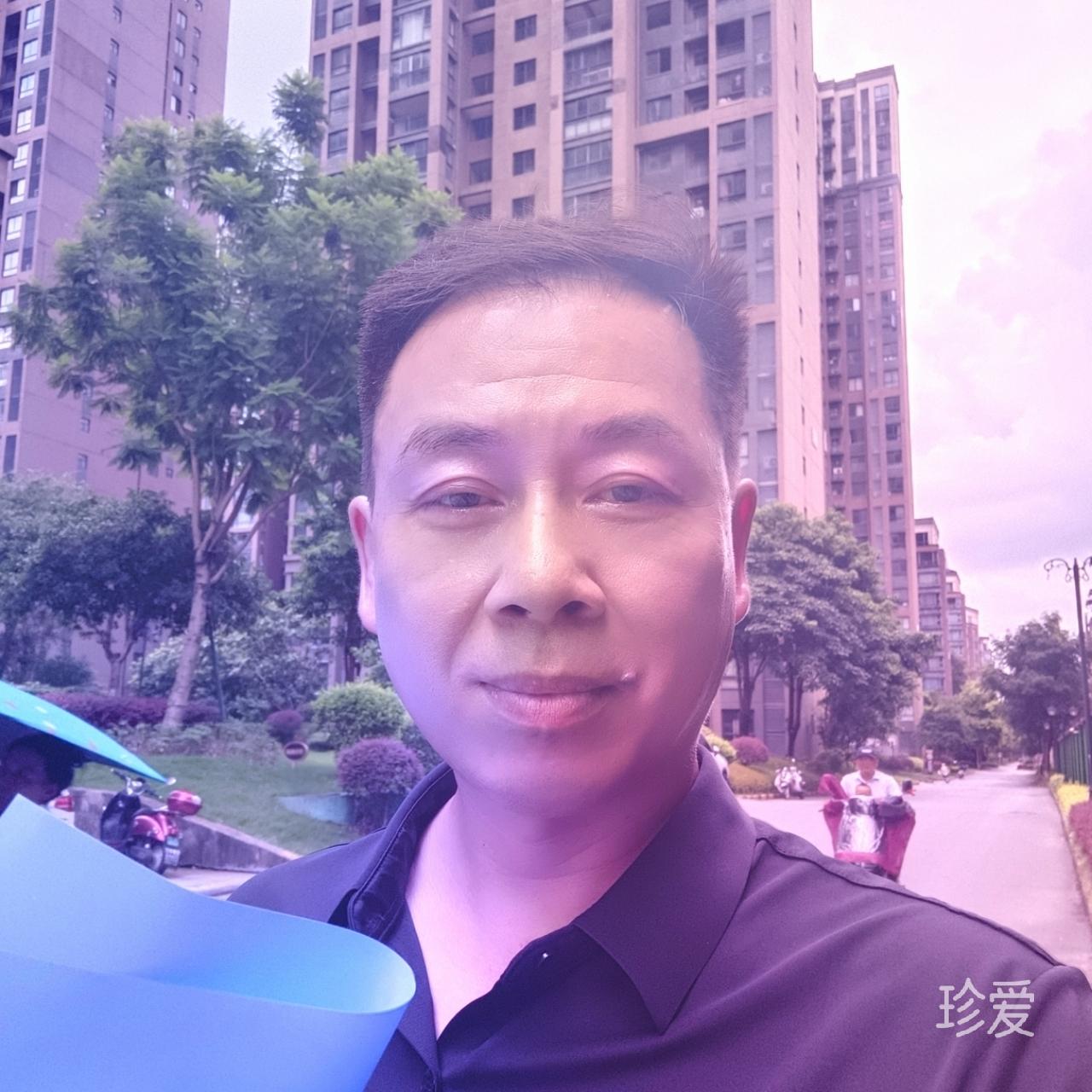 龙龙