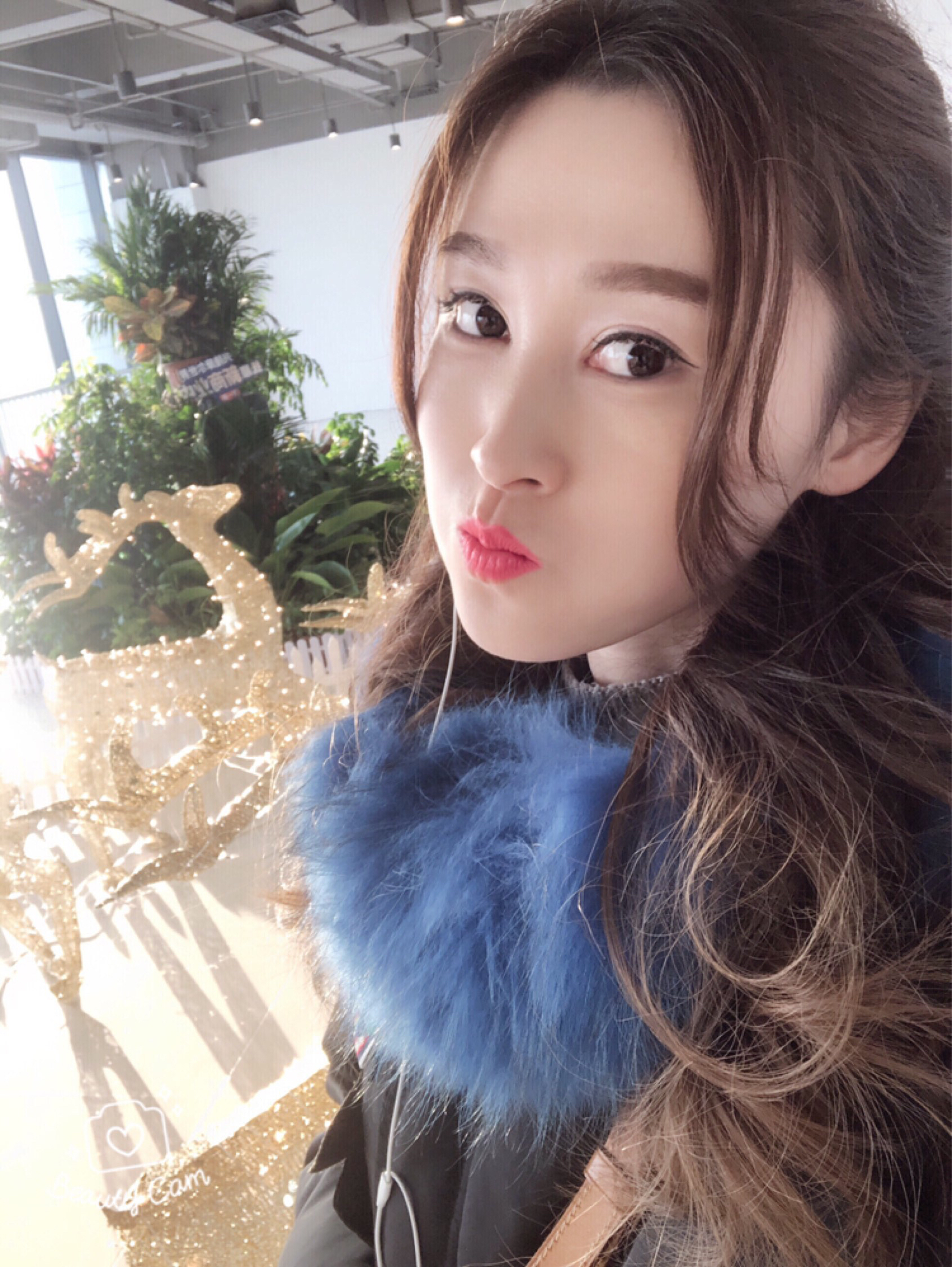 一閃一閃亮晶晶