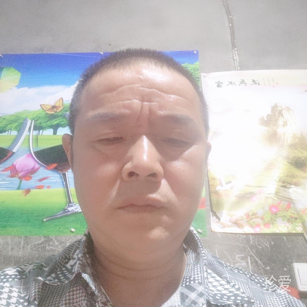 冬天森林