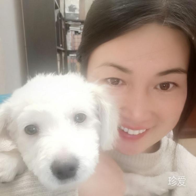 单个酒窝