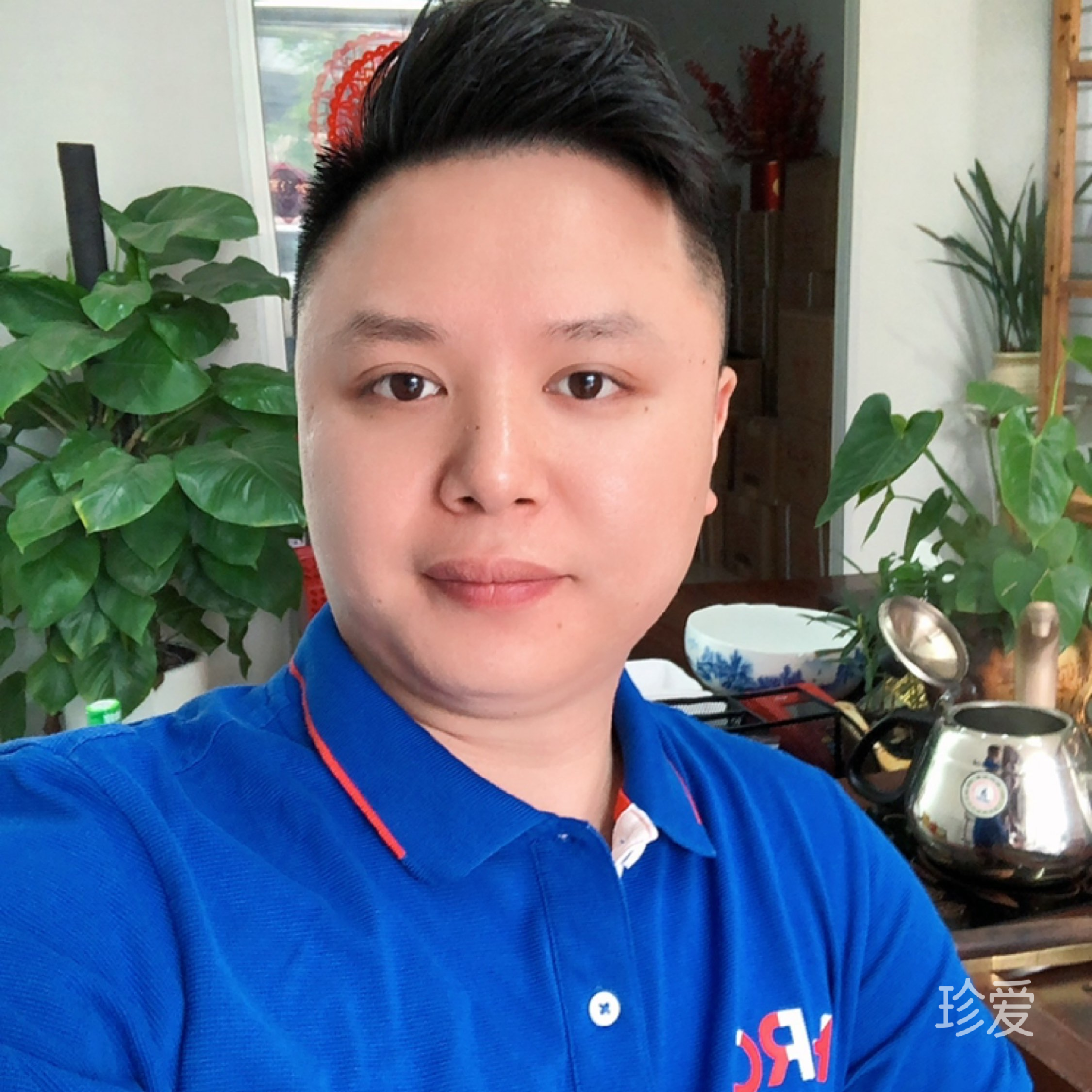 低调的华丽