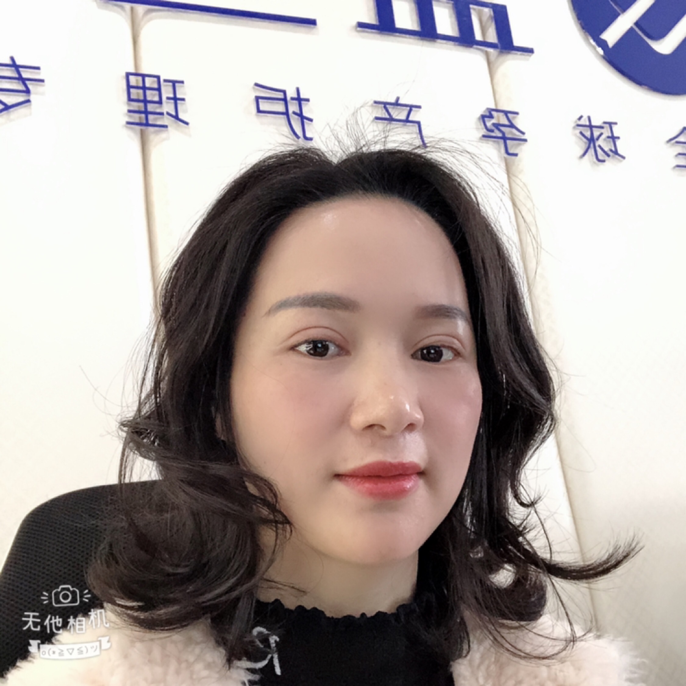 陽(yáng)光下的燕子