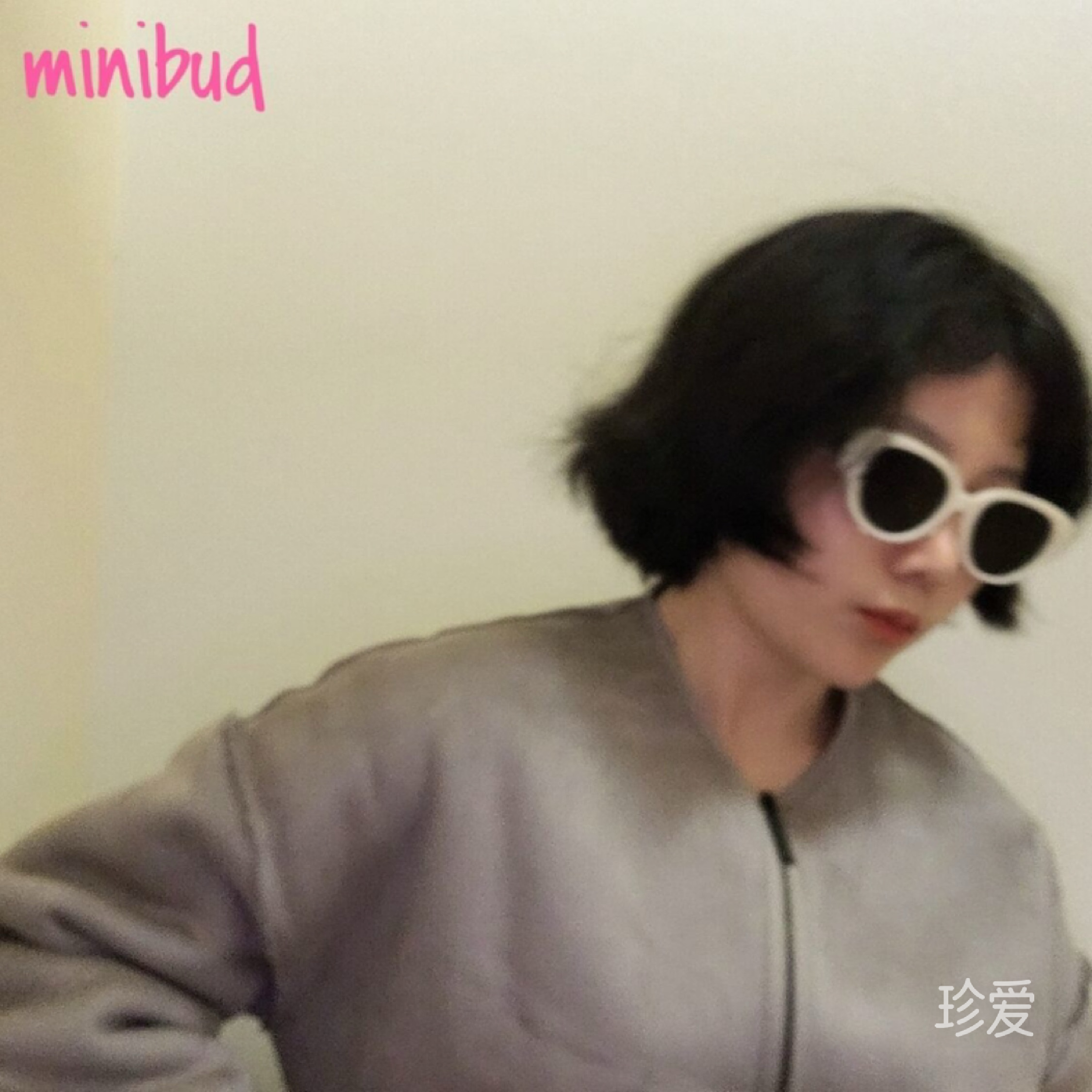 梅花鹿