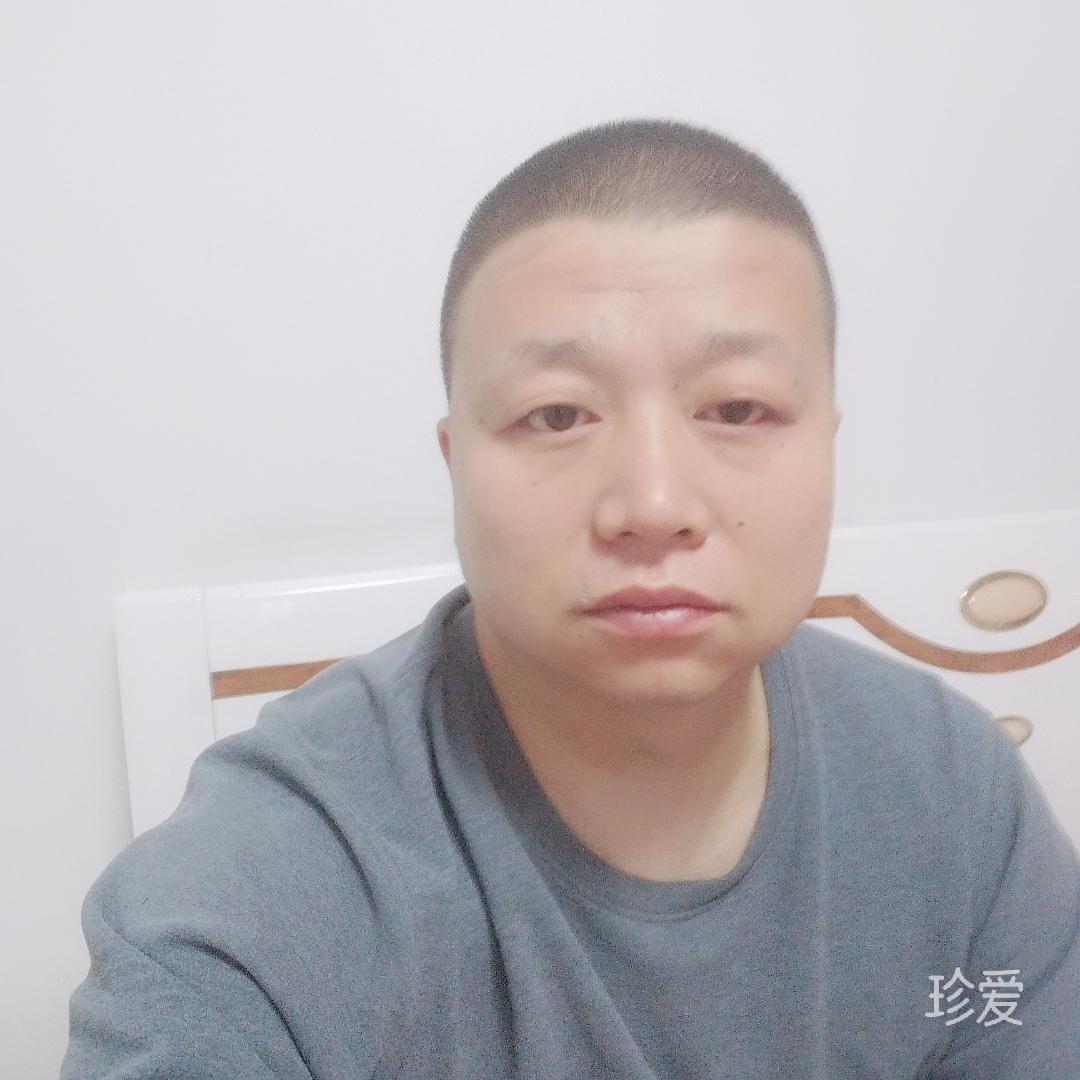 风零类