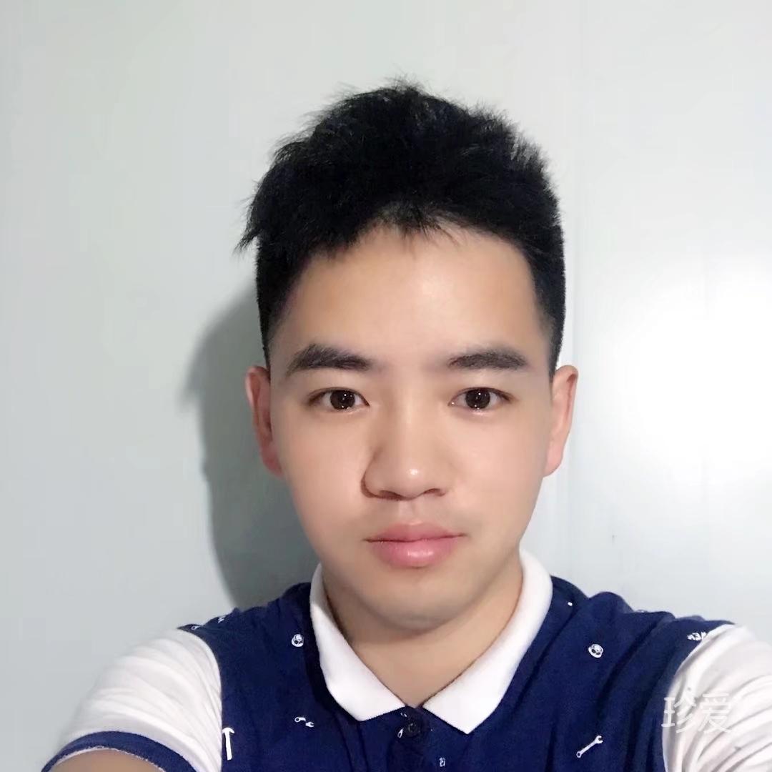 一只小黑犬