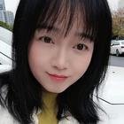 單飛的燕子