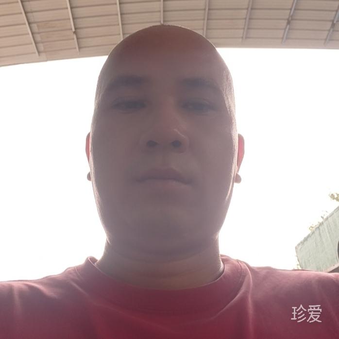 纯情光头龙