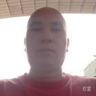 纯情光头龙