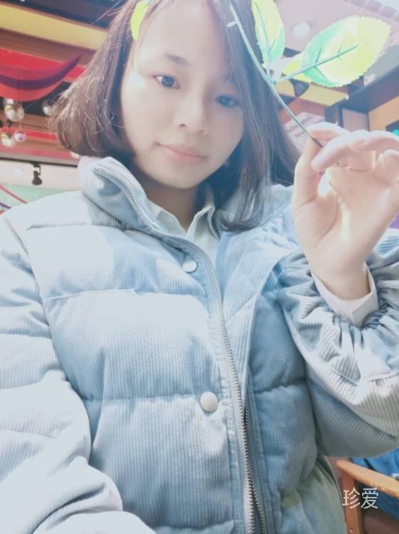 日光暖暖