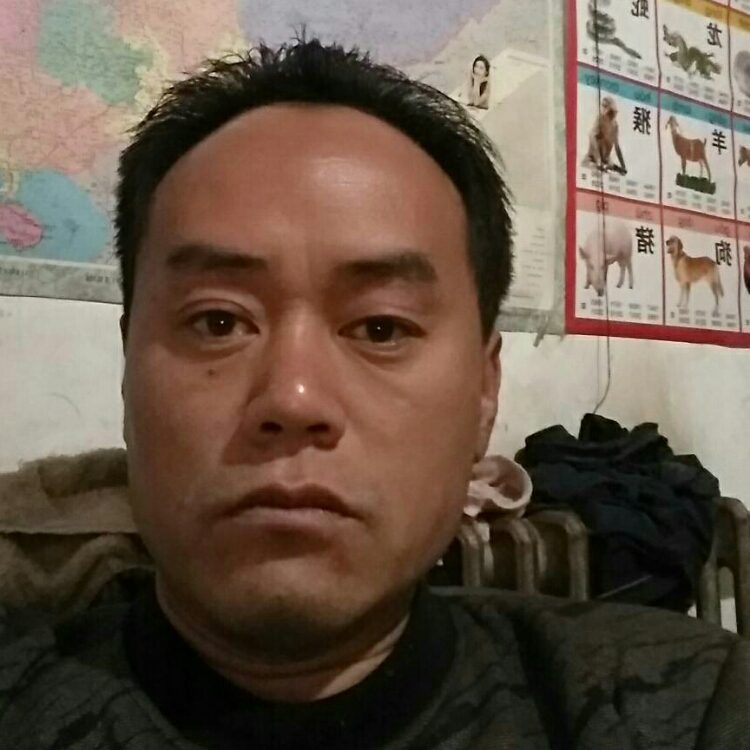 阿飛仗劍走江湖