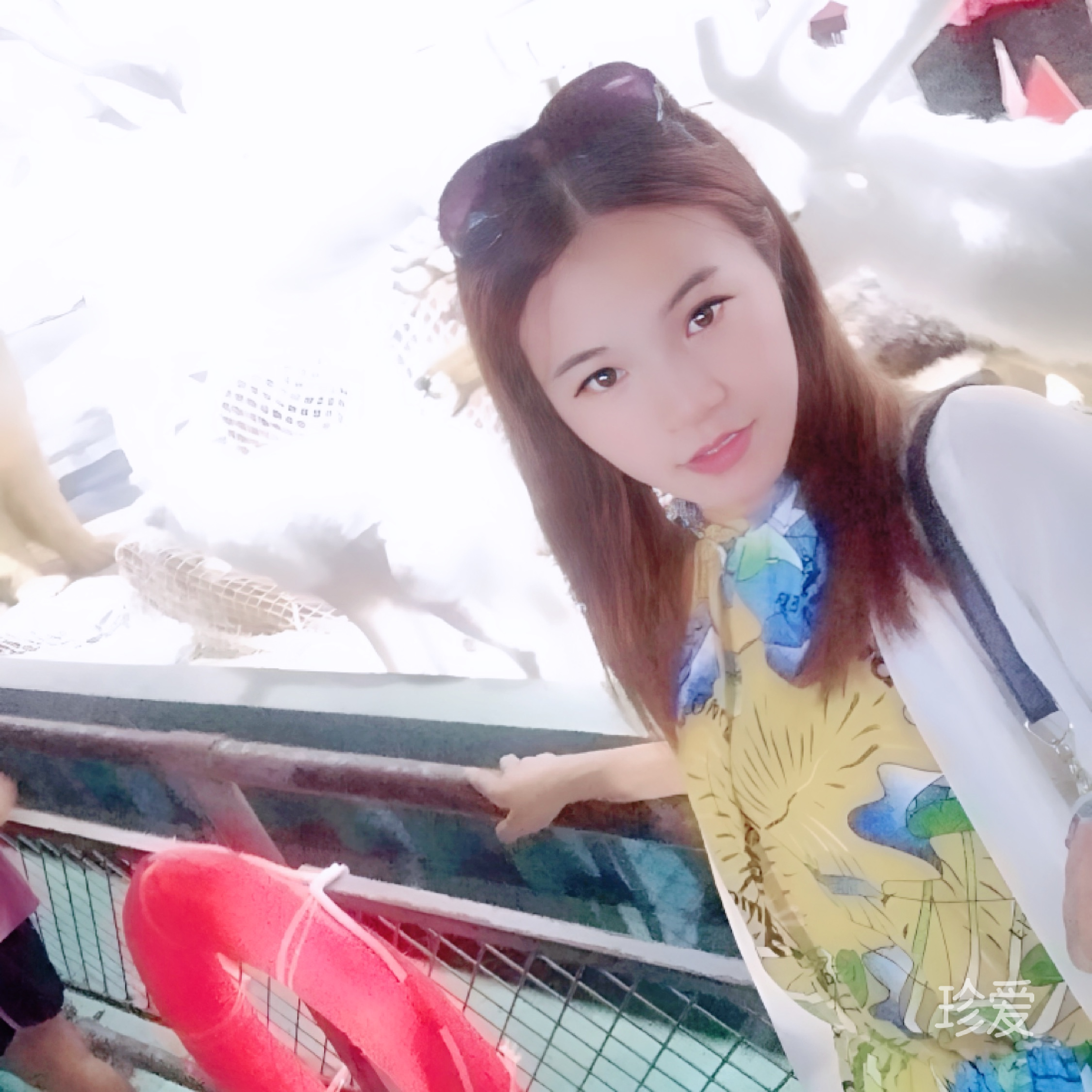 微笑的彩虹
