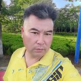 平平淡淡