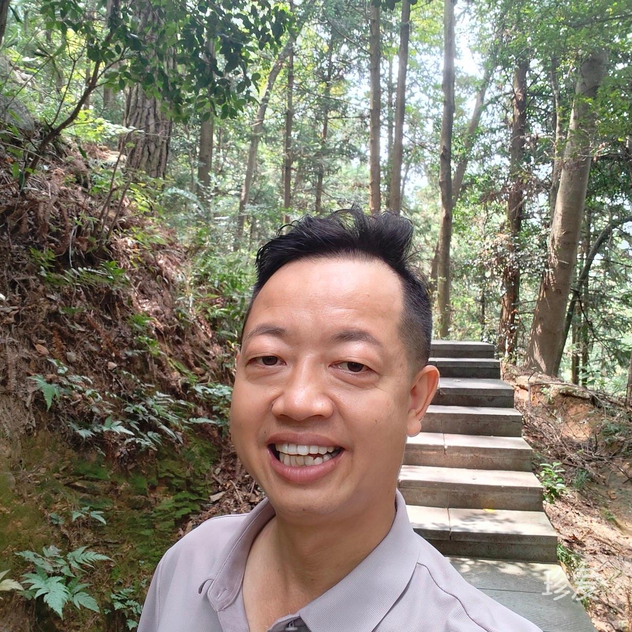 春天的来信