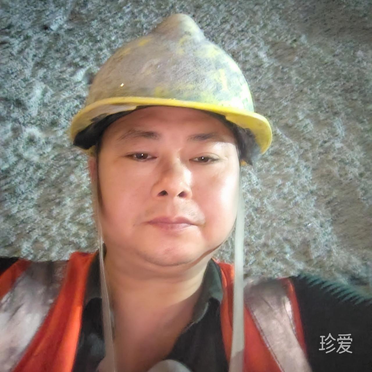 淡雅的绿叶