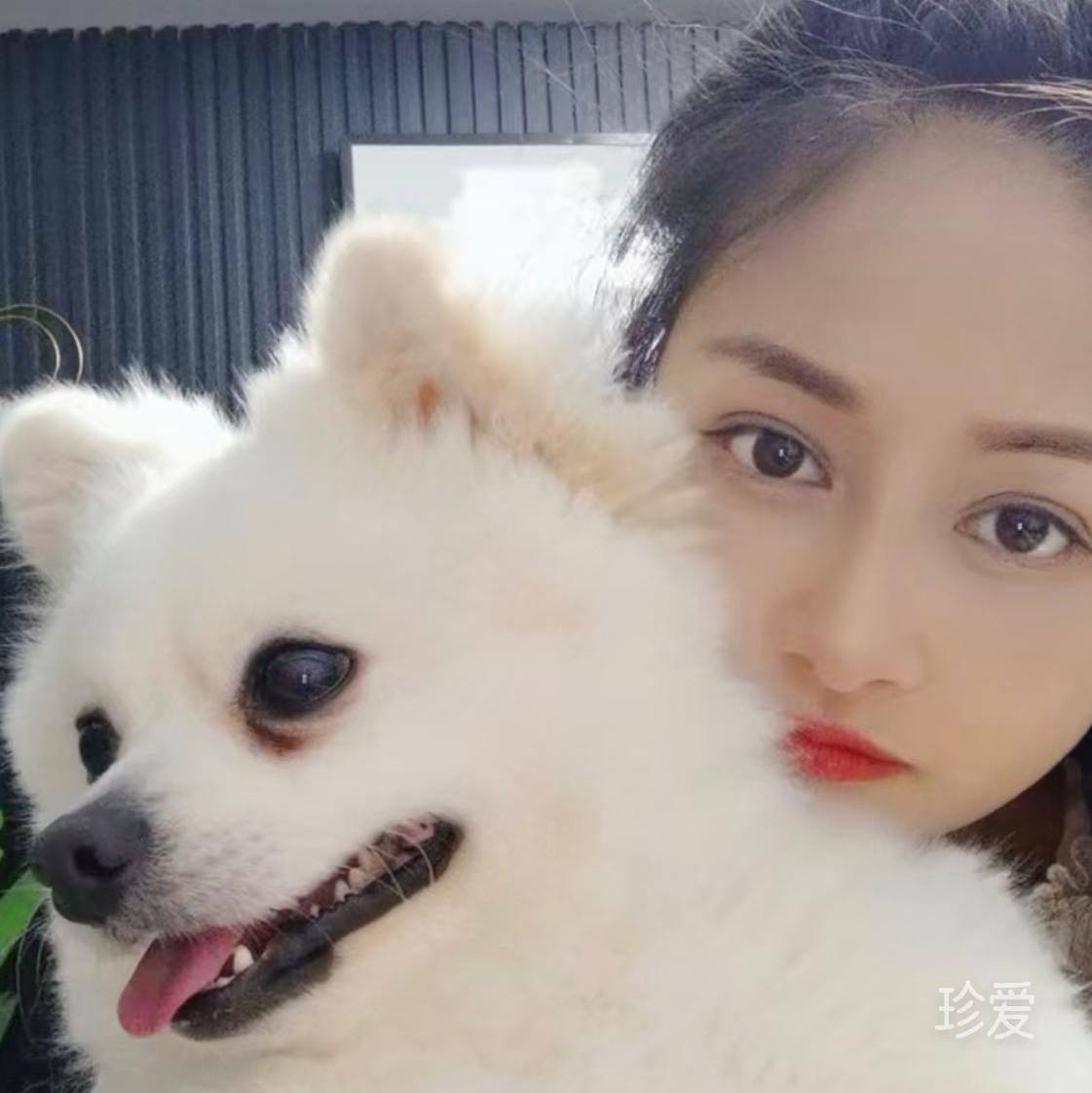 飯團(tuán)團(tuán)