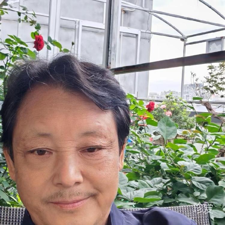 孤獨(dú)的行者