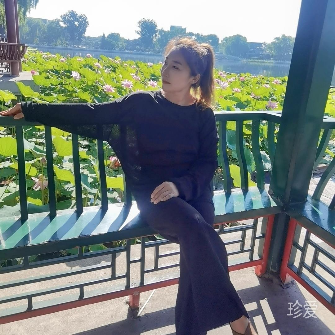 風雨中的向日葵