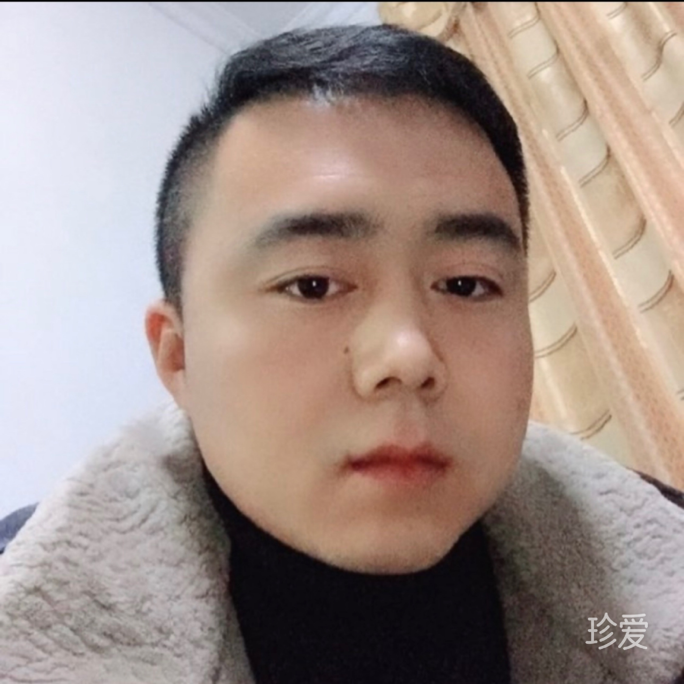 花无心