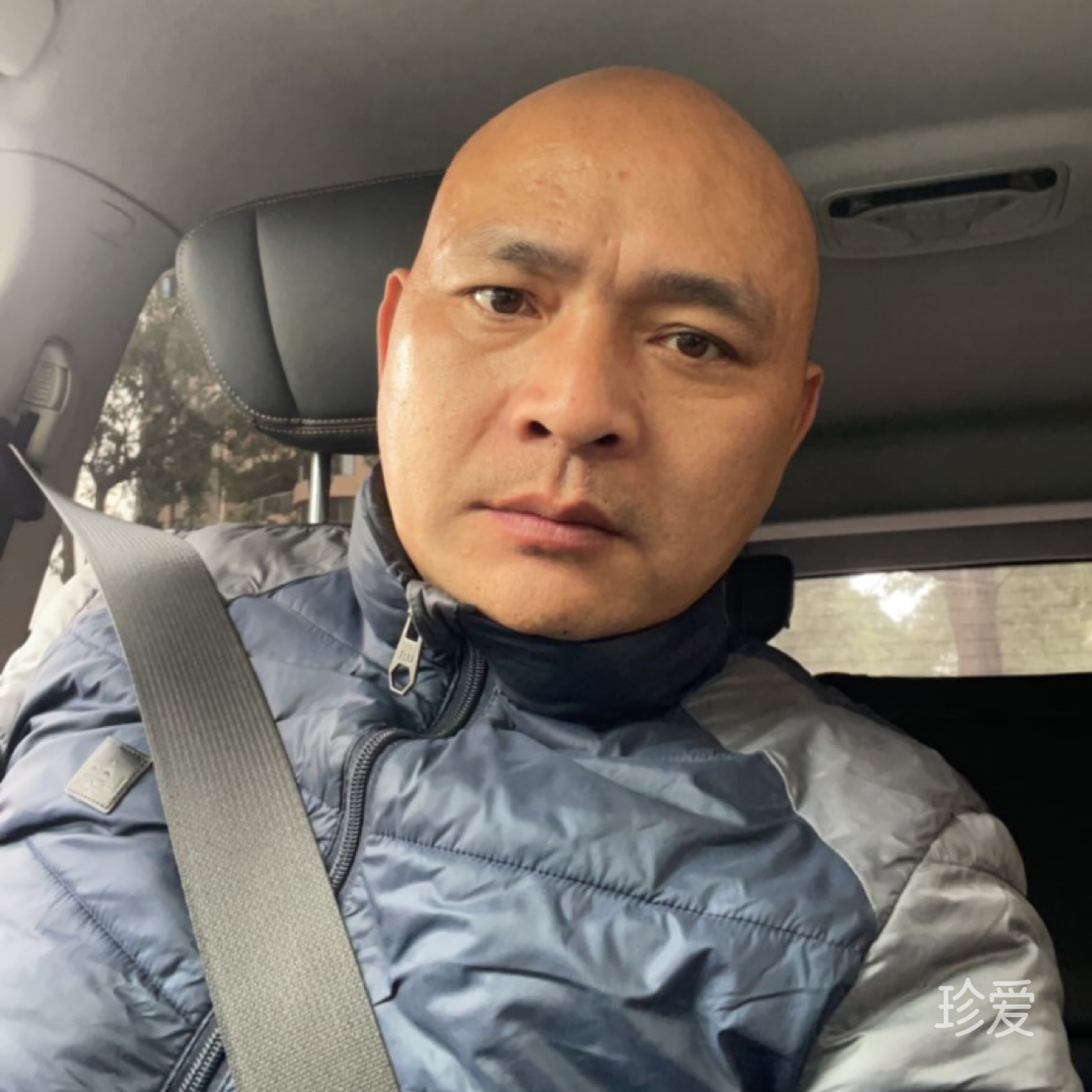 楠得有情人