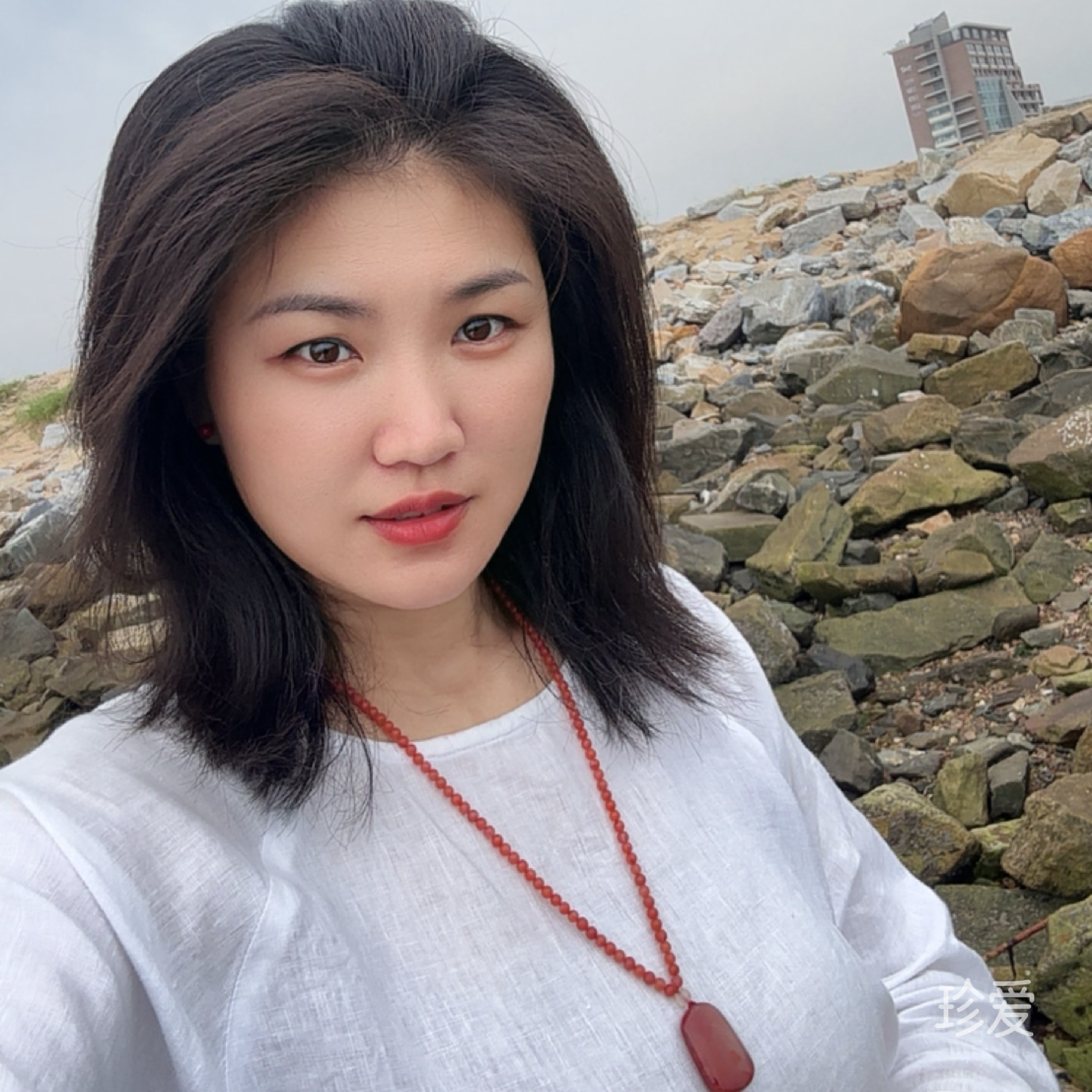 八百标兵奔北坡