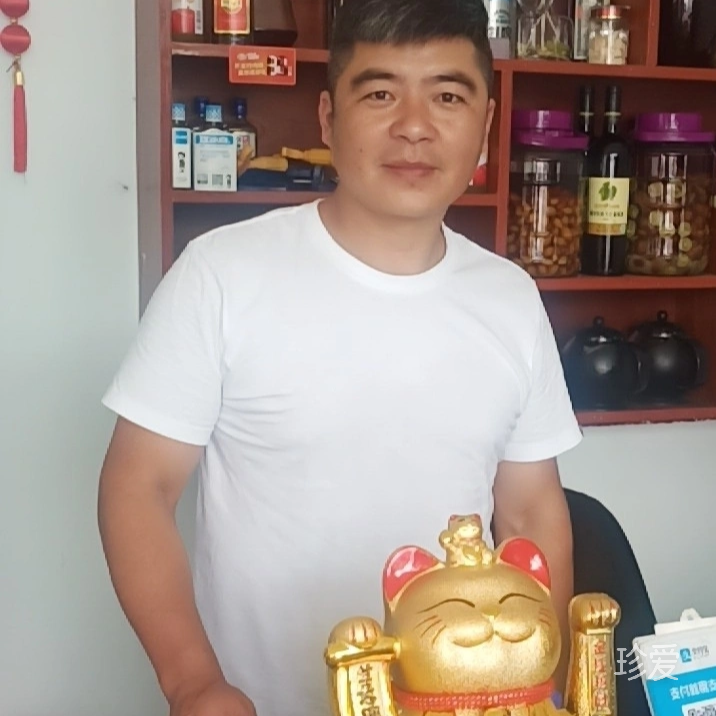 醉踏天下