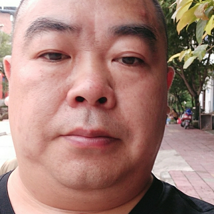 相逢何似曾相識