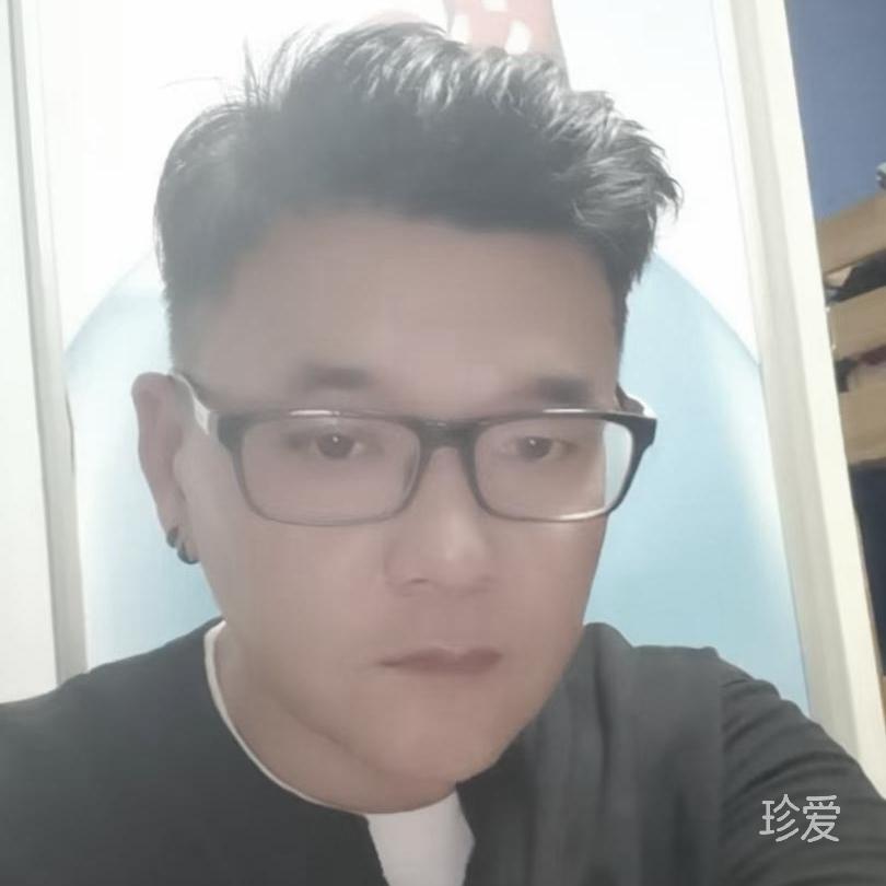 寒鹭飞