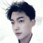 溫柔的風(fēng)