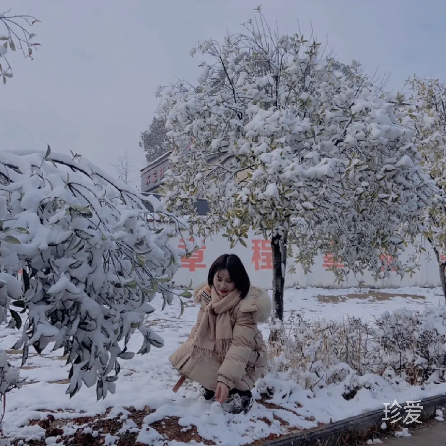 陽光在浪尖跳動