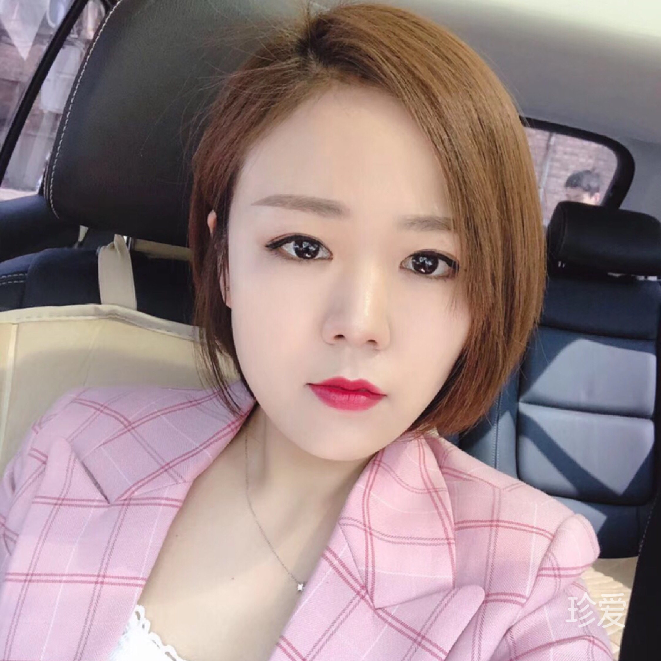 愛(ài)伸懶腰的貓