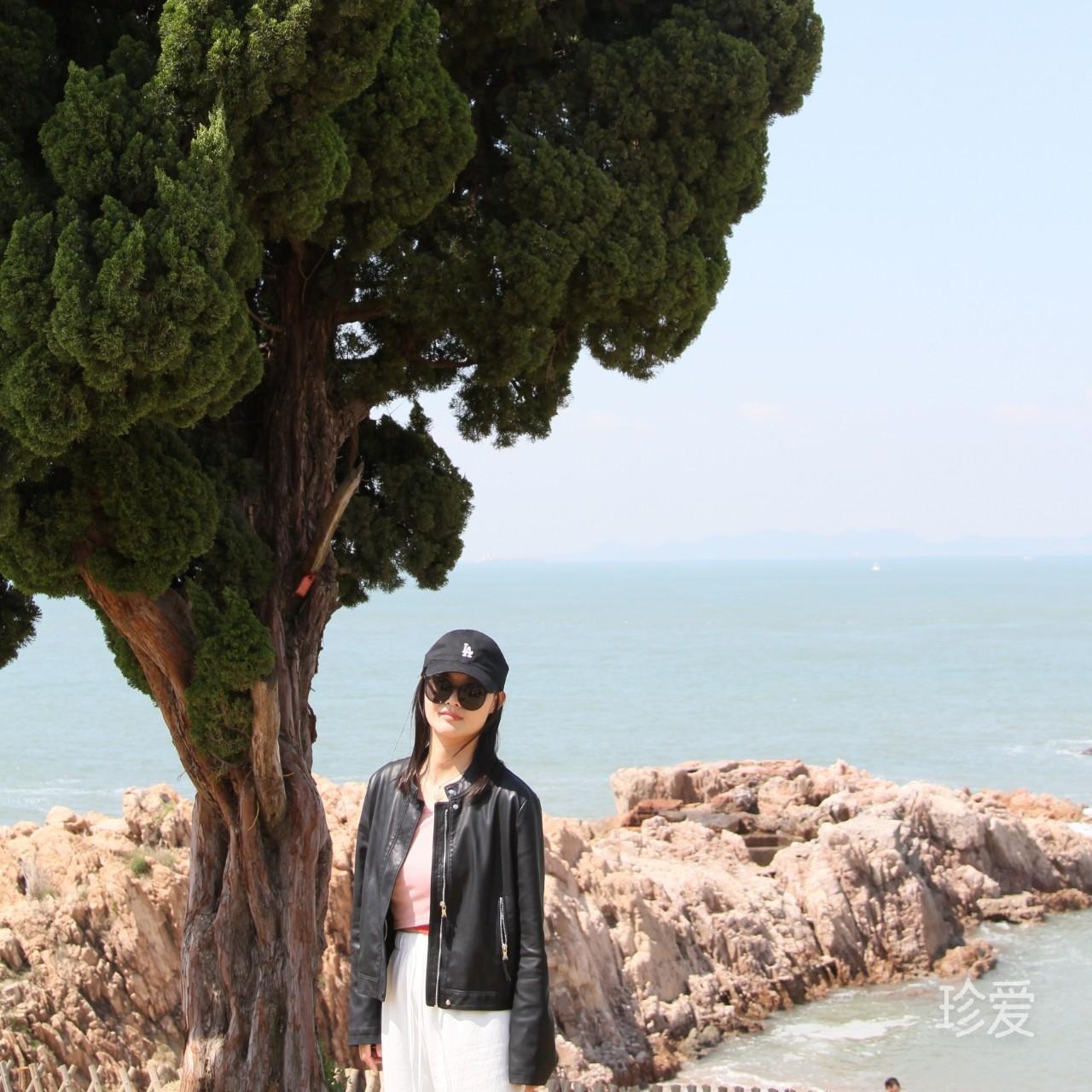 小蘑菇