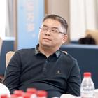 左岸憶惜度流年