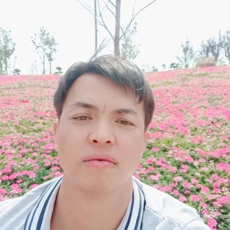 独孤求伴