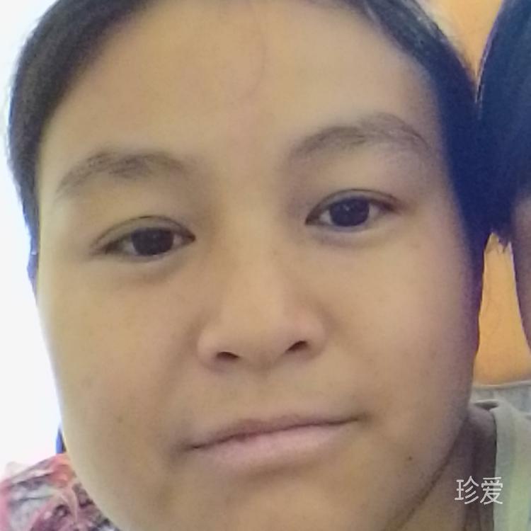 傲雪寒梅傲雪寒梅