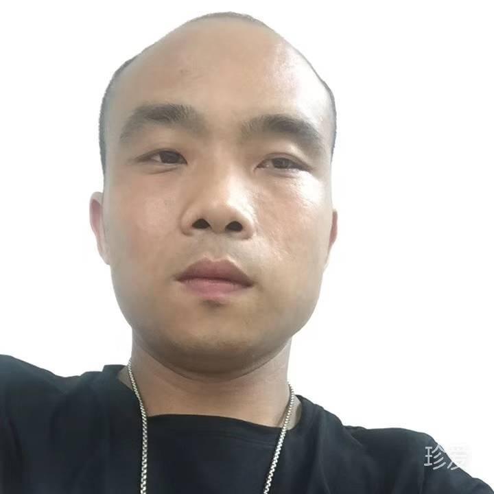情字白头