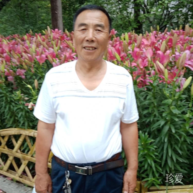 倚天屠龙