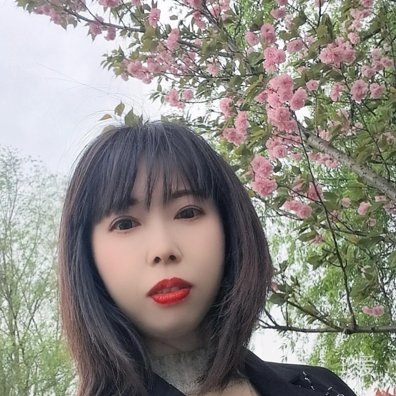 单飞凤凰