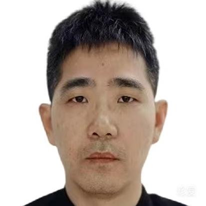 岩中花树