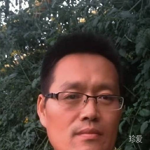 林子