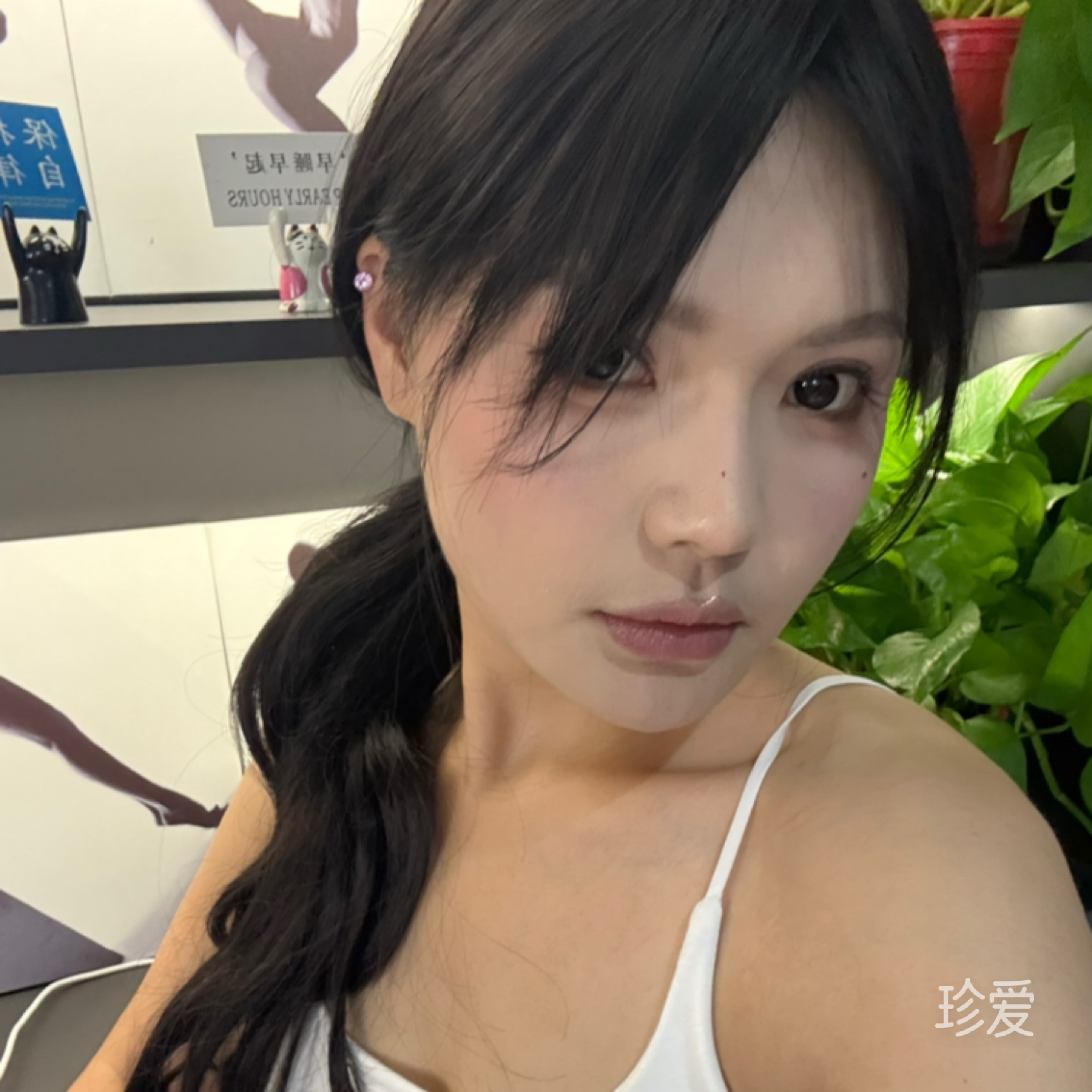 阑珊