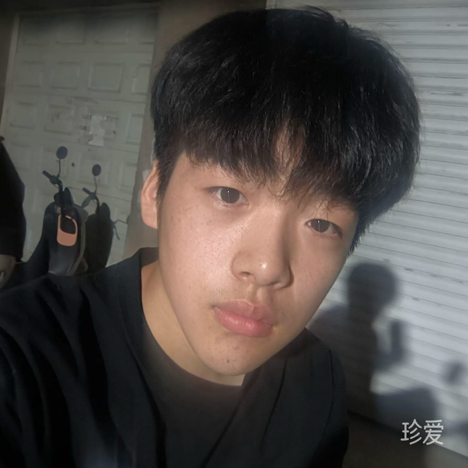 清风帅影