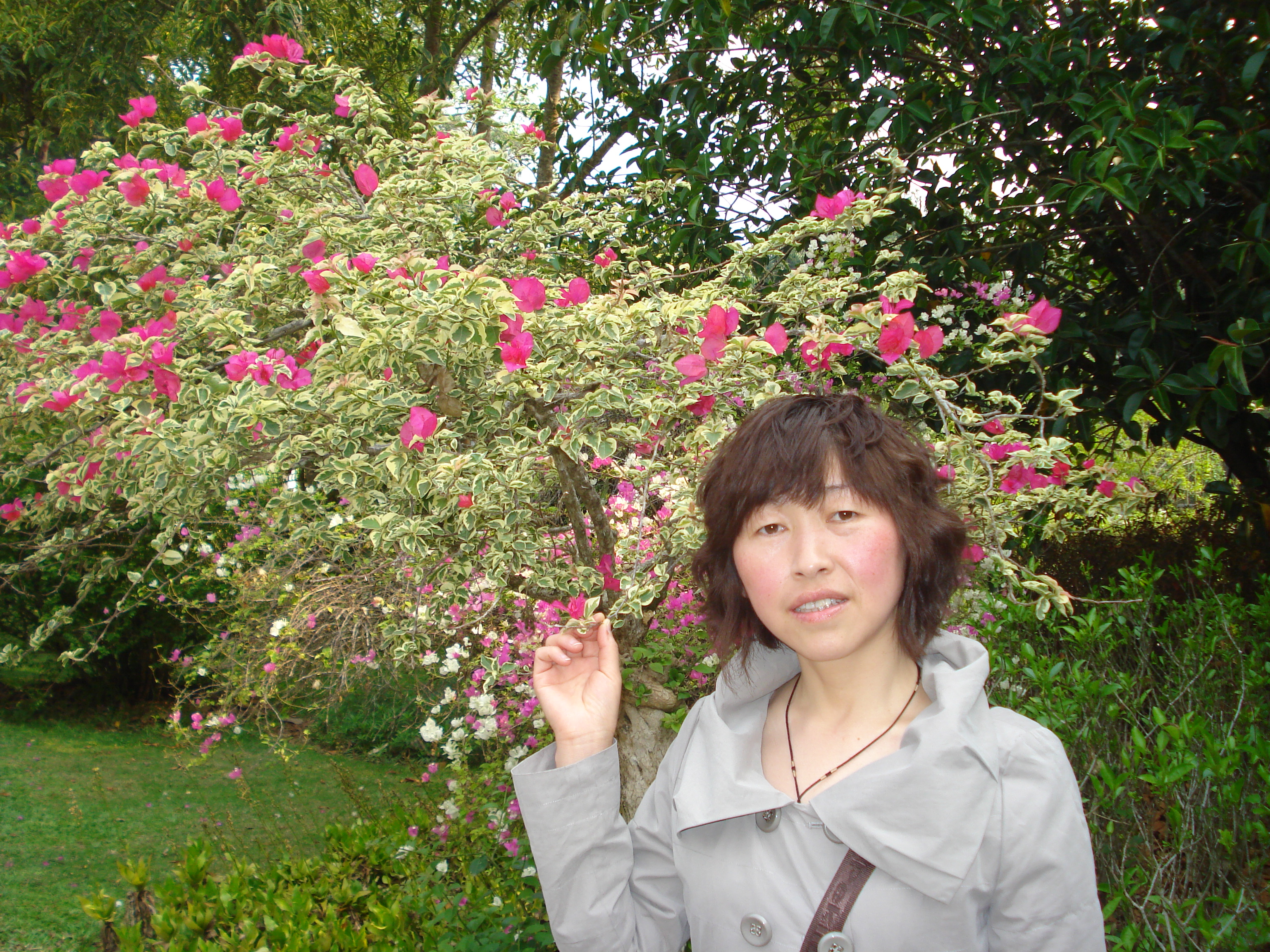 愛(ài)的寧?kù)o