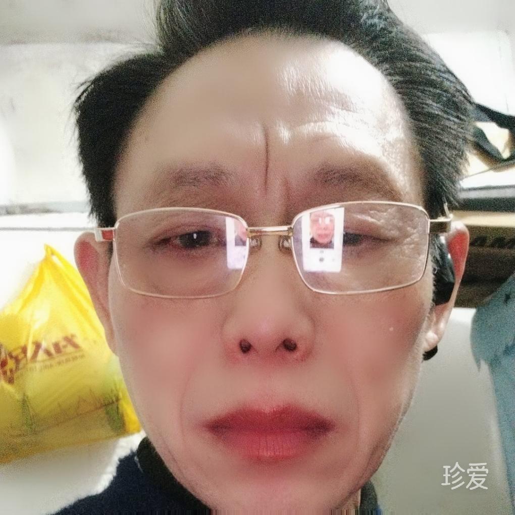 表皮