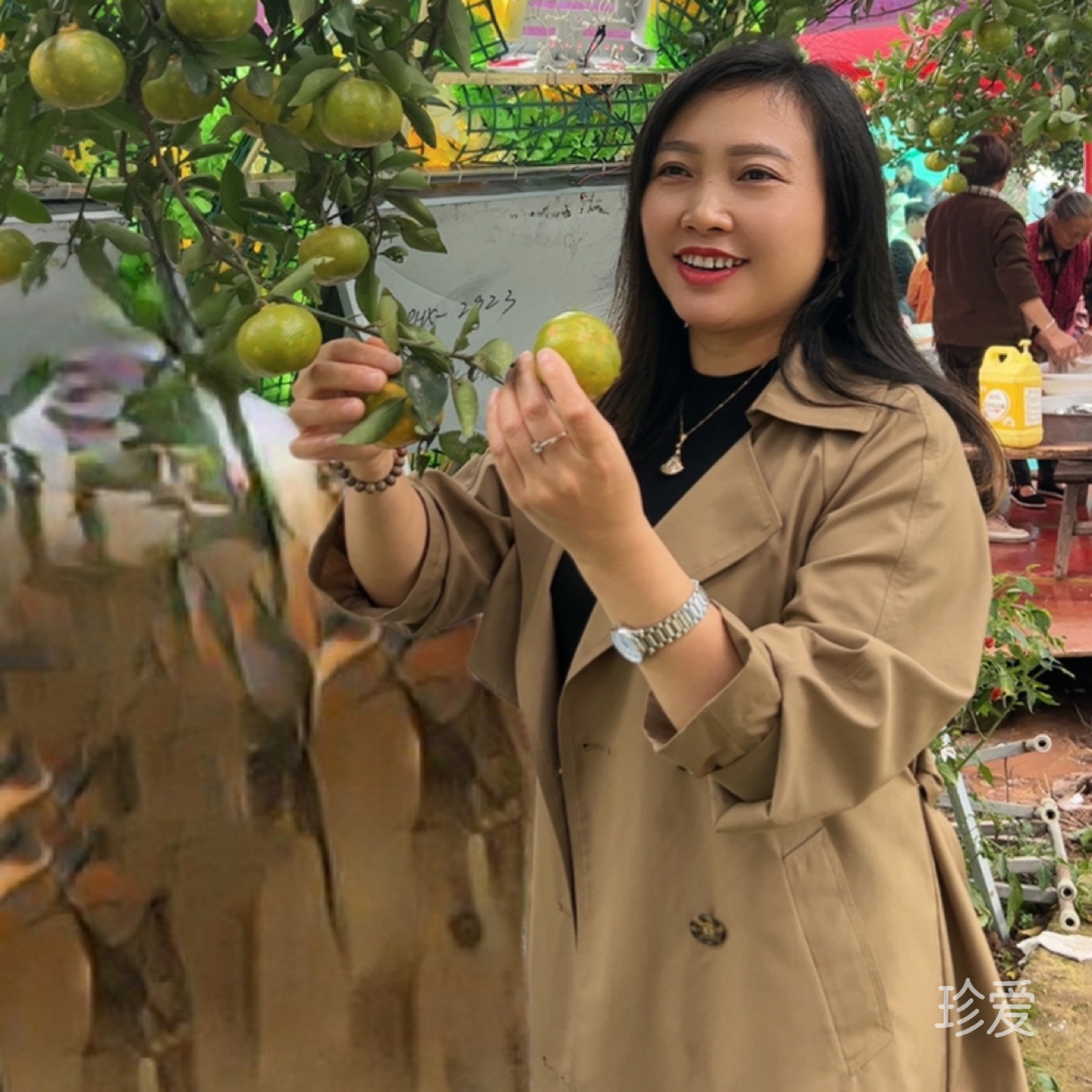 你不來(lái)我不老