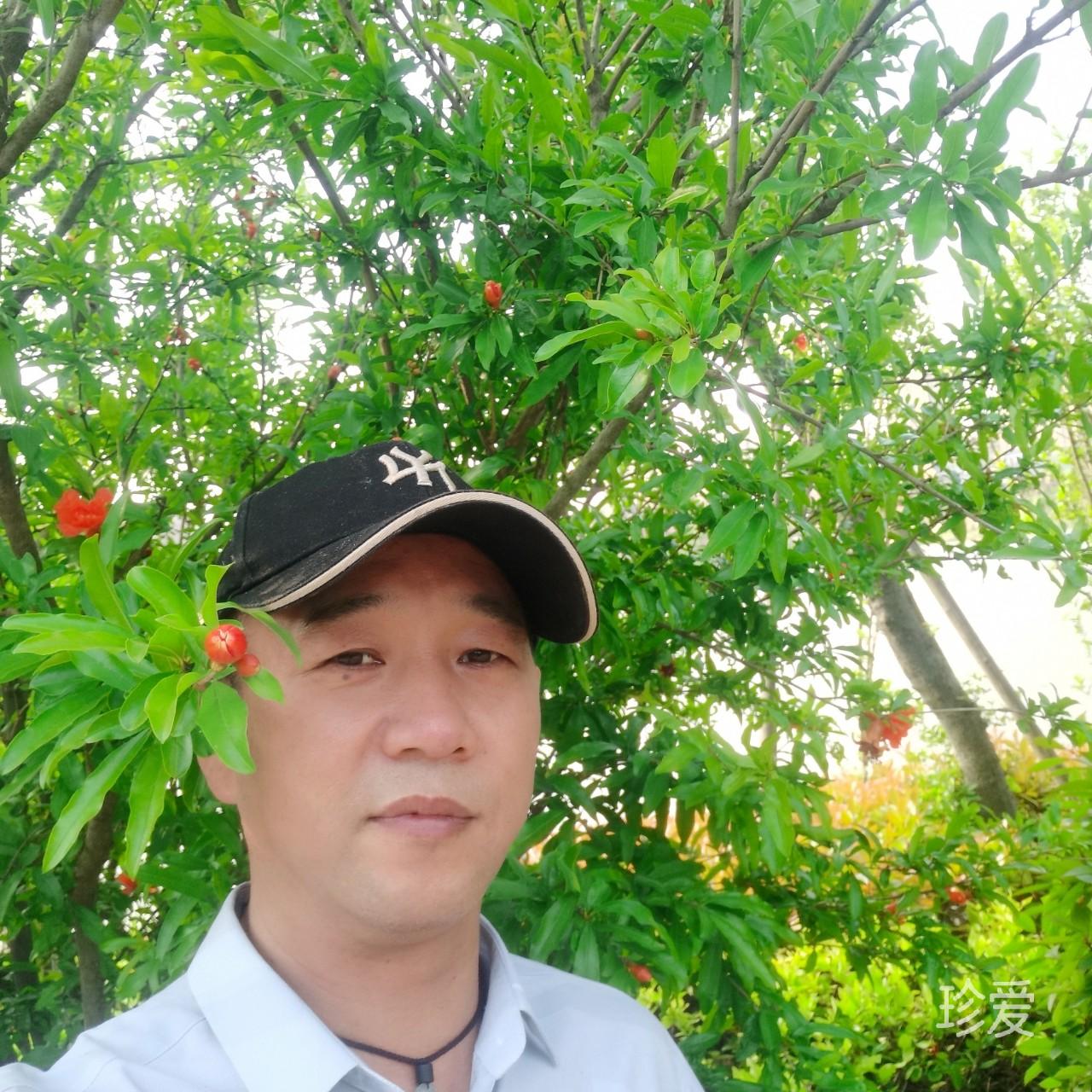 簡(jiǎn)單愛到底