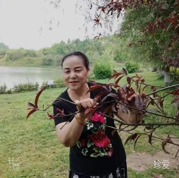 笑平