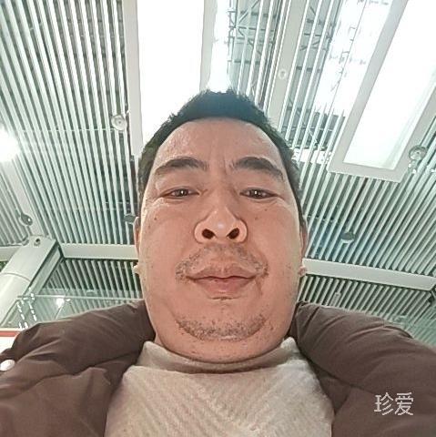 坐卧随心