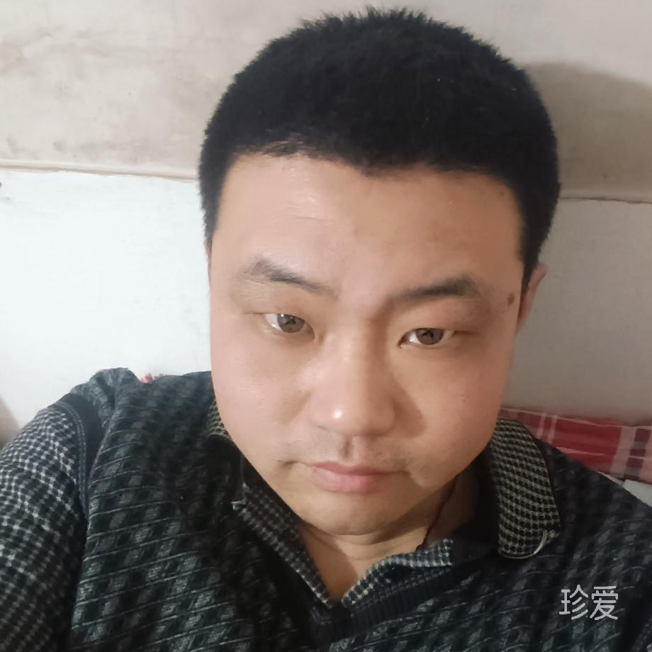 冰封千年的蛤蟆