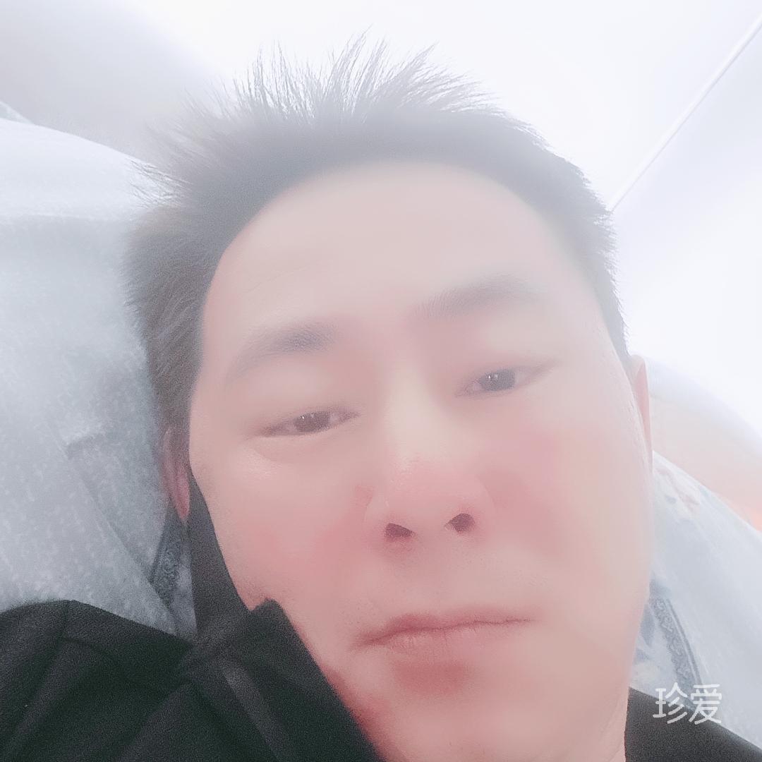 孤独枫